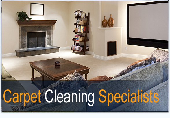 Carpet and Upholstery Cleaning Ithaca